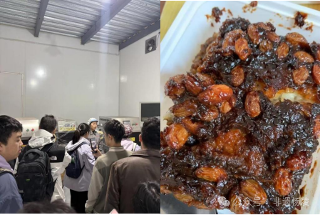 手开展“感悟非遗匠心·传承千年文脉”主题调研活动PG电子游戏麻将胡了杨凌非遗协会与钱学森书院携(图6)